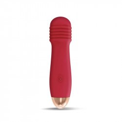 Estimulador FESTIVAL Nesta...