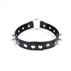 Collar de Pinchos y Anilla